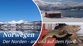 Norwegen, Norway - Der Norden - #2 - Lavangenfjord : Angeln in Norwegen-sein bisher größter Heilbutt