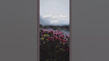 القرآن الكريم/ تلاوة خاشعة/ تلاوة القرآن الكريم/ ترتيل / الترتيل/ التأمل / الخالق / خلق الله