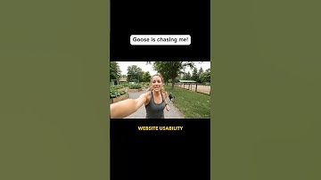 Website Usability Tips #ecommerce #onlinebusiness #businessowner #developer #webdesigner