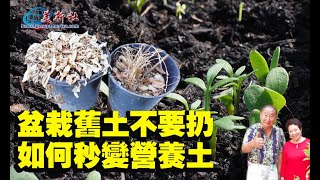 How to turn old potting soil into new nutrient soil?