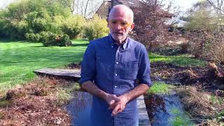 Is it better to make a concrete pond or with a PVC sheet? - YouTube