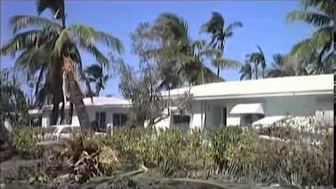 nova Hurricane Katrina The Storm That Drowned A City