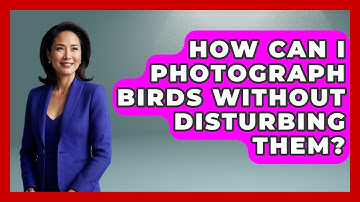 How Can I Photograph Birds Without Disturbing Them? | Bird Watching Diaries