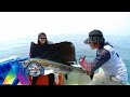 MANCING MANIA - Terseret Layaran Di Atas Kayak 1 November 2015 3-1