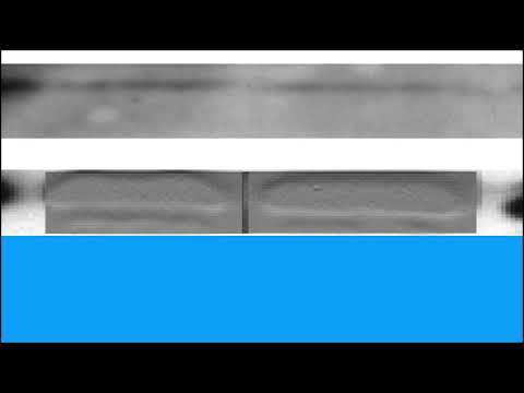 7D29344FA55E16152AD5FD22CC650A#1