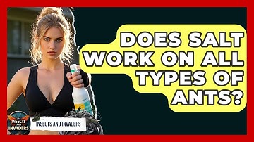 Does Salt Work On All Types Of Ants? - Insects and Invaders