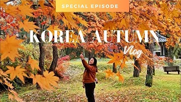Korea late November Vlog