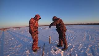 Ловля щуки на жерлицу на Нижнекамском водохранилище.