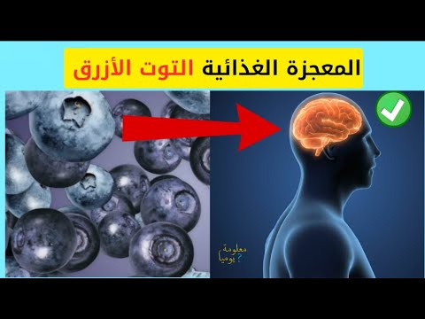 هل تعلمون أن التوت الأزرق معجزة وكنز للصحة 10 فوائد لا يمكن وصفها لا تعد ولا تحصى ل التوت البري
