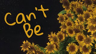 Vertile - Cant Be  Resimi