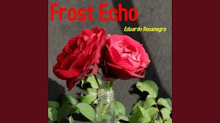 Frost Echo