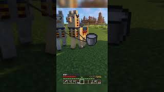 the purple wandering trader | argos smp