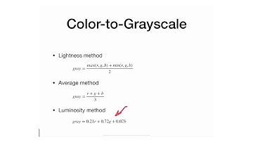 M14 - 10 - Demo Video System - Color to Grayscale