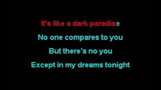 Lana Del Rey - Dark Paradise (karaoke)
