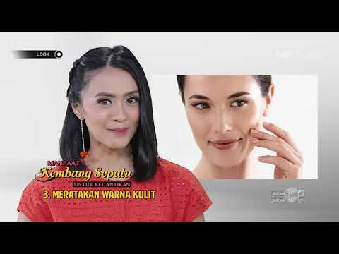 CARA MUDAH NANAM BUNGA KEMBANG SEPATU