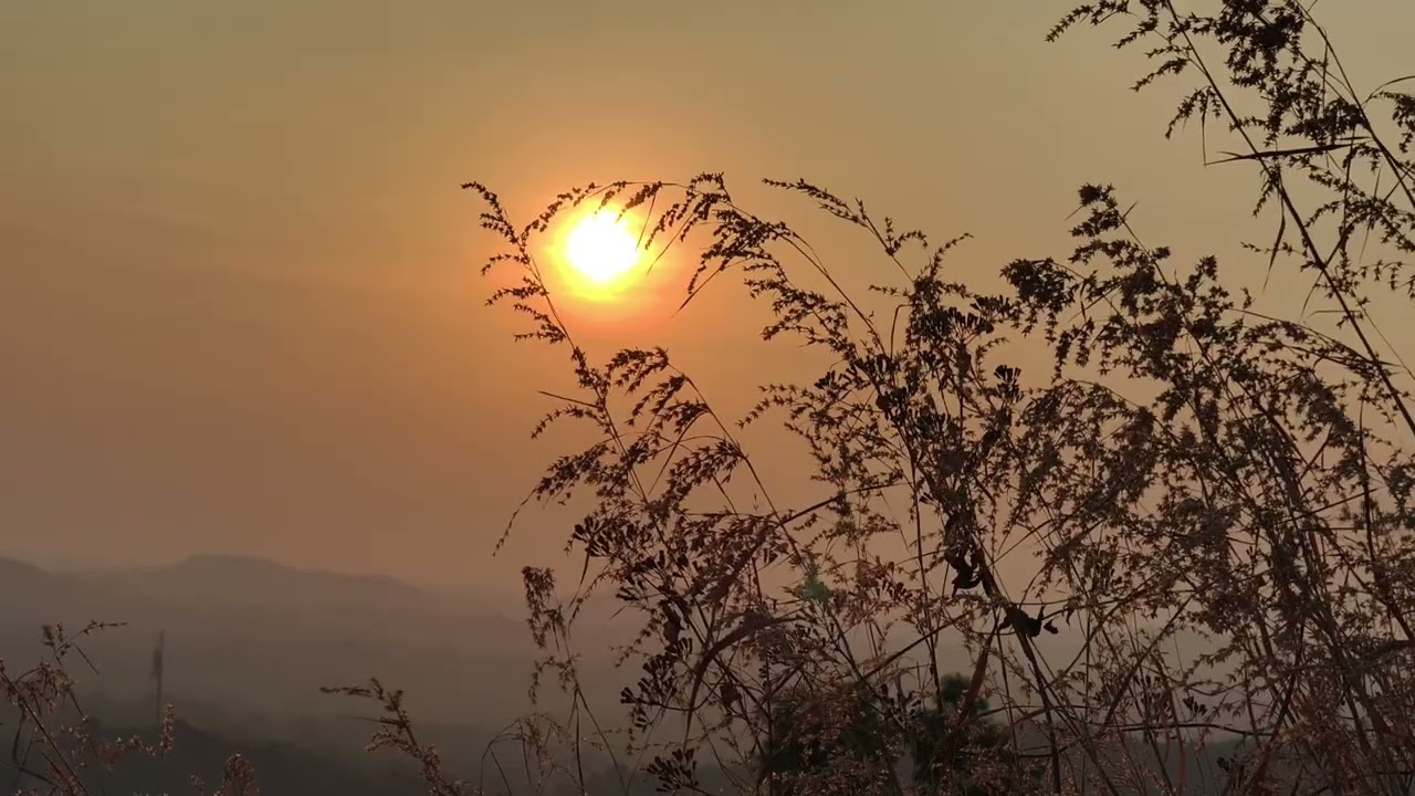 Kadalukaani paara sunset 