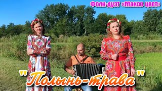 🌿&quot;Полынь-трава&quot;. 💖Душевная песня о любви под баян. 🎶Исполняет Фолк-дуэт «Маков цвет».