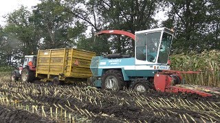 Mais hakselen met Mengele SF4000/2 + IHC 844s, Deutz D7506 en Fendt Farmer 308 (2017)