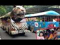 LIBUR Lebaran Naik Kereta Harimau Kereta Tayo Kereta Thomas Keliling Kebun Binatang