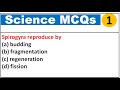 Science mcqs || Sub inspector, HPAS, Allied Services || biology Science mcqs || NCERT mcqs Science