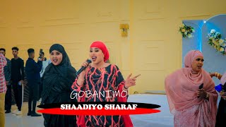 Shaadiyo Sharaf Heestii Libaax Leerta Jiifa Official Video 2023