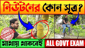 নিউটনের গতিসূত্র | Newton