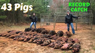 43 Pigs/Big Catch Little Trap ST 2x6/ Game Changer Traps