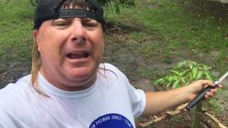 Donnie Baker with some Fireworks Safety Tips for the 4th of July!