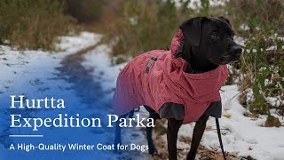 Hurtta Expedition Parka Review: A High-Quality Winter Dog Coat by Pawsitively Intrepid 18,666 views 3 years ago 5 minutes, 5 seconds