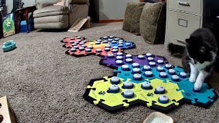 Todd Starts 2 Of His 3 New Words In Just Hours