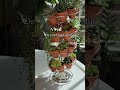 Plant people are going to love this hack
