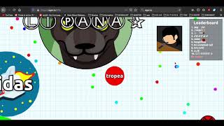 Tropea Kexp Interview - Making Music In Quarantine With Kevin Cole