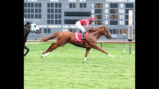 Fancy Sailor sails in Ellis Park's $250K Water Tower Stakes