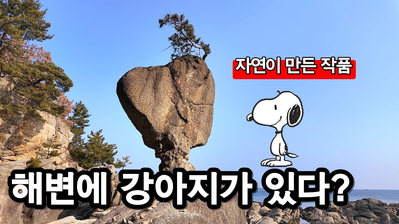 이 바위, 자연이 만든 게 맞아? 고성 갯바위 현장 기록