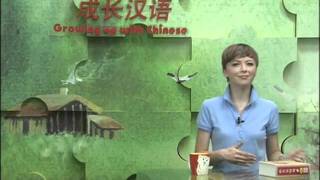 Growing Up With Chinese Lesson 44 Lost and found (Learning Chinese Series)