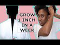 GROW 1 INCH in A WEEK| 7 Days Rice Water Challenge