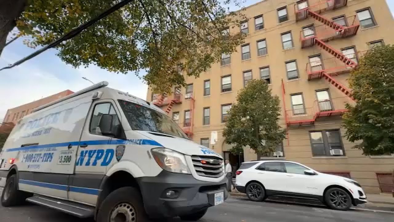 Newborn found dead in courtyard of apartment building in the Bronx