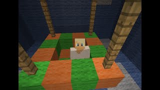 Minecraft Gameplay On Quacktopia Ep. 1