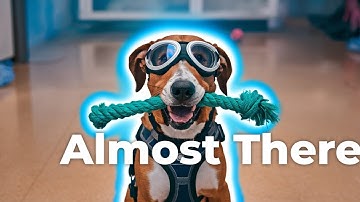 K9 lost onmogelijke puzzel op om eigenaar te redden