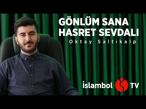 Gönlüm Sana Hasret Sana Sevdalı - Oktay Saltıkalp (Müziksiz)