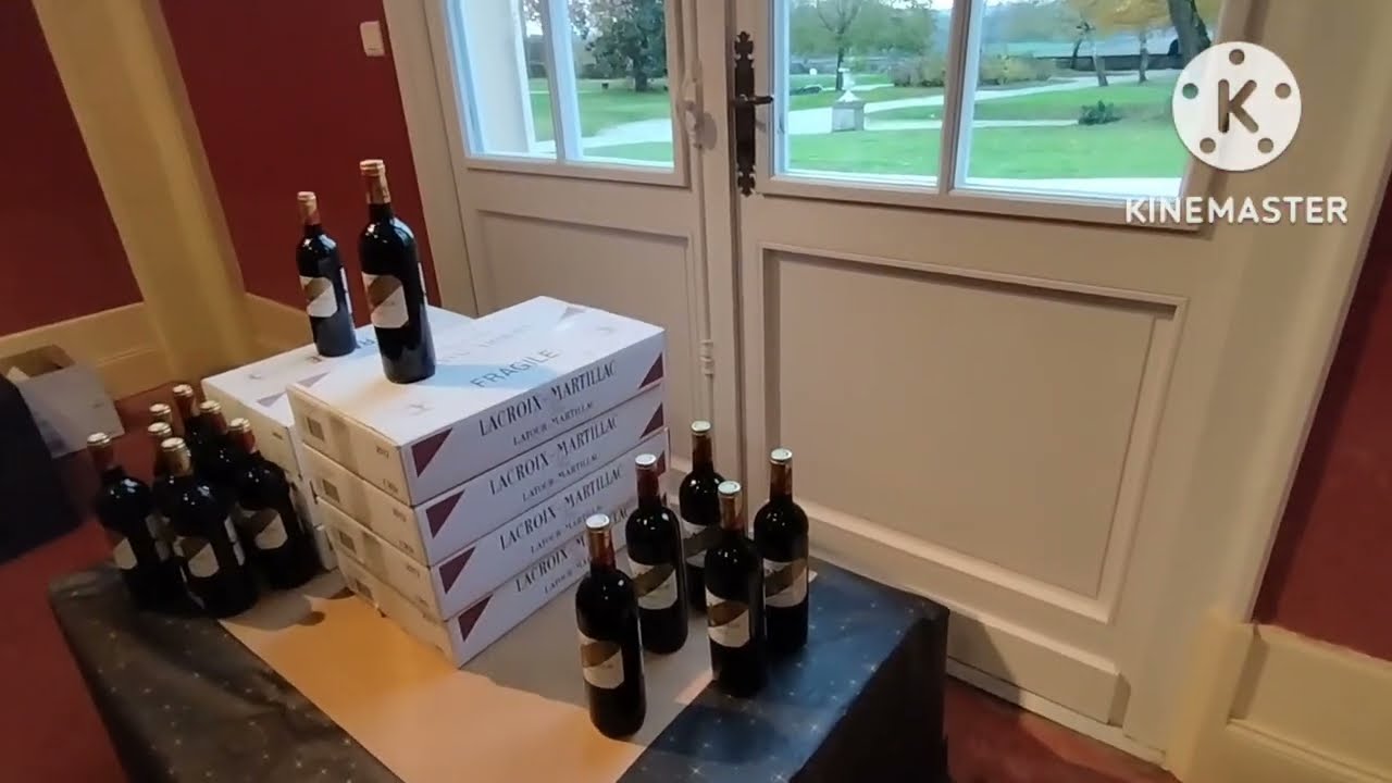 Session Of Wine Tasting here in Martillac France