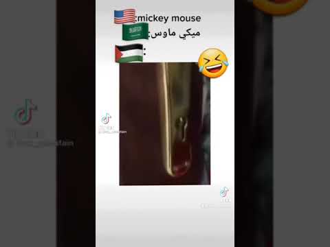 ميكي ماوس