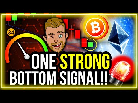 ONE OF THE BEST BITCOIN BOTTOM INDICATORS JUST FLASHED! (BITCOIN PRICE PREDICTION)