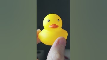 How to debug your code with a rubber duck? 🦆