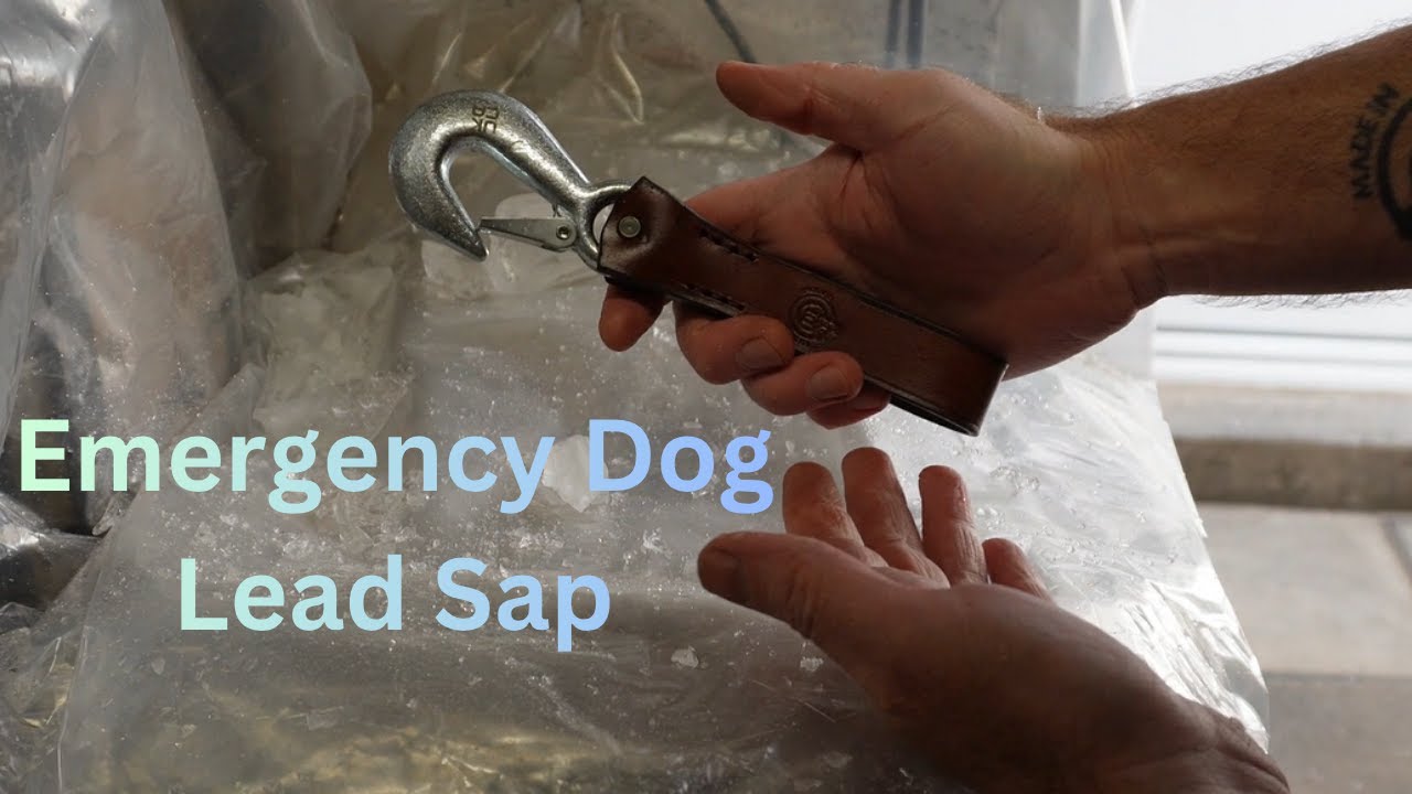 Davidson Leather Emergency Dog Lead Sap