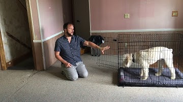 Tips to Help Stop Bud