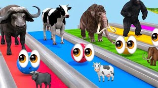 COLORS AND NAME ANIMALS FOR KIDS