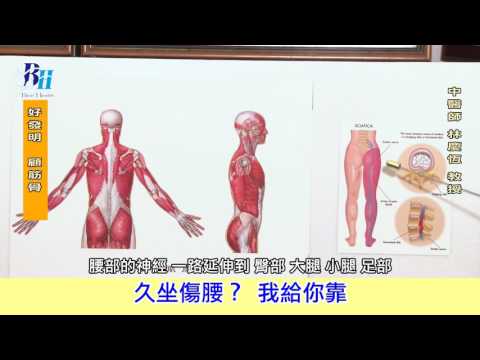 03 腰靠 1版