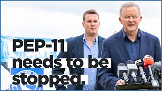 PEP-11 needs to be stopped | with Dr Gordon Reid