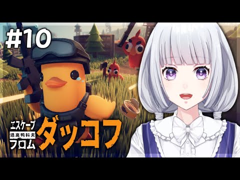 【エスケープ フロム ダッコフ 】農場町の探索を終わらせたい #10【白露りお】